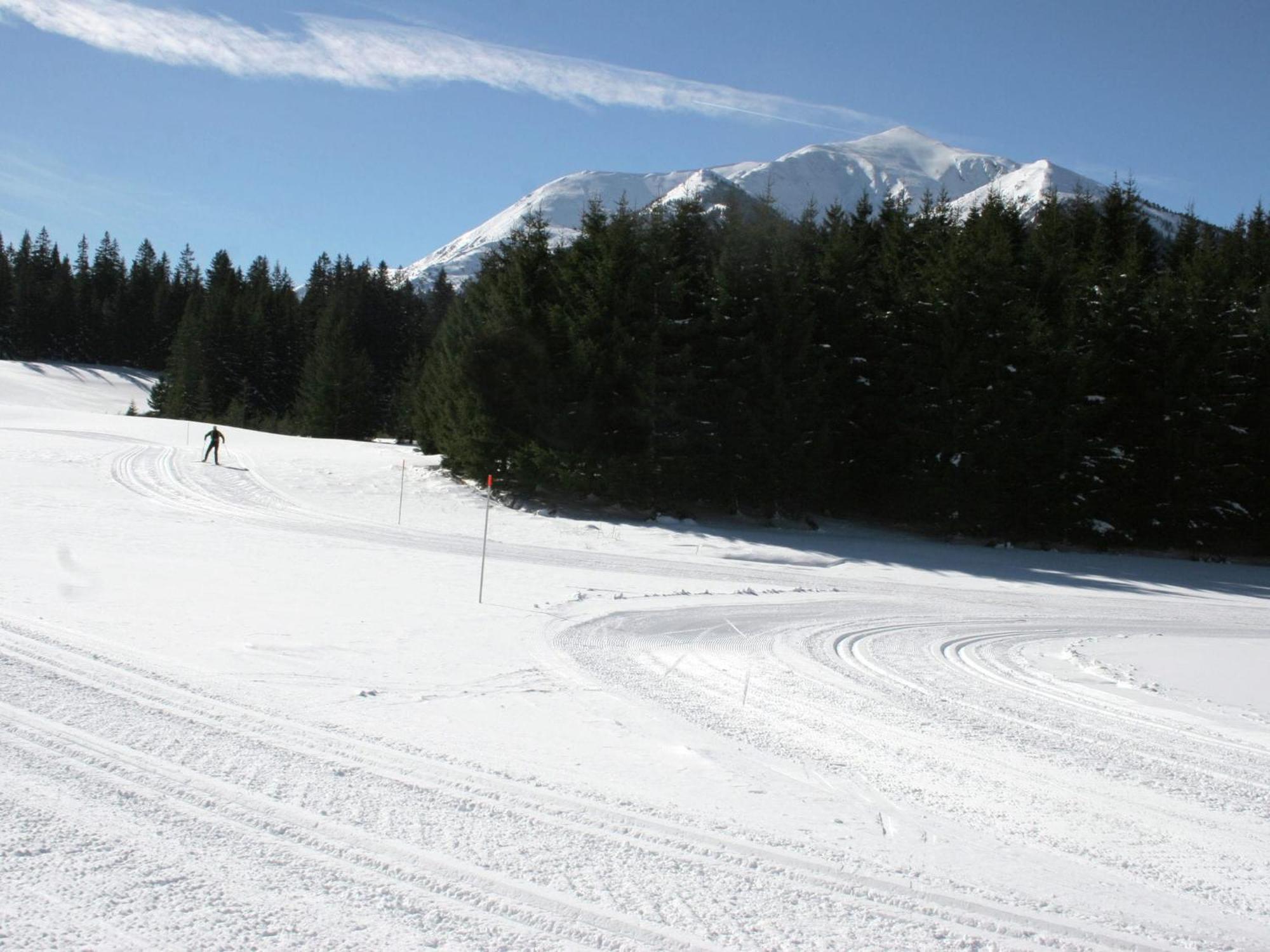 Chalet In Hohentauern Near Ski Area With Sauna 외부 사진